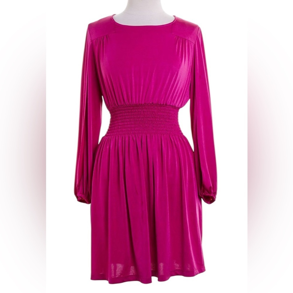 Donna Ricco Slit Crepe Sleeve Dress in Fuchsia Long Sleeve Dress Size 2P J-47